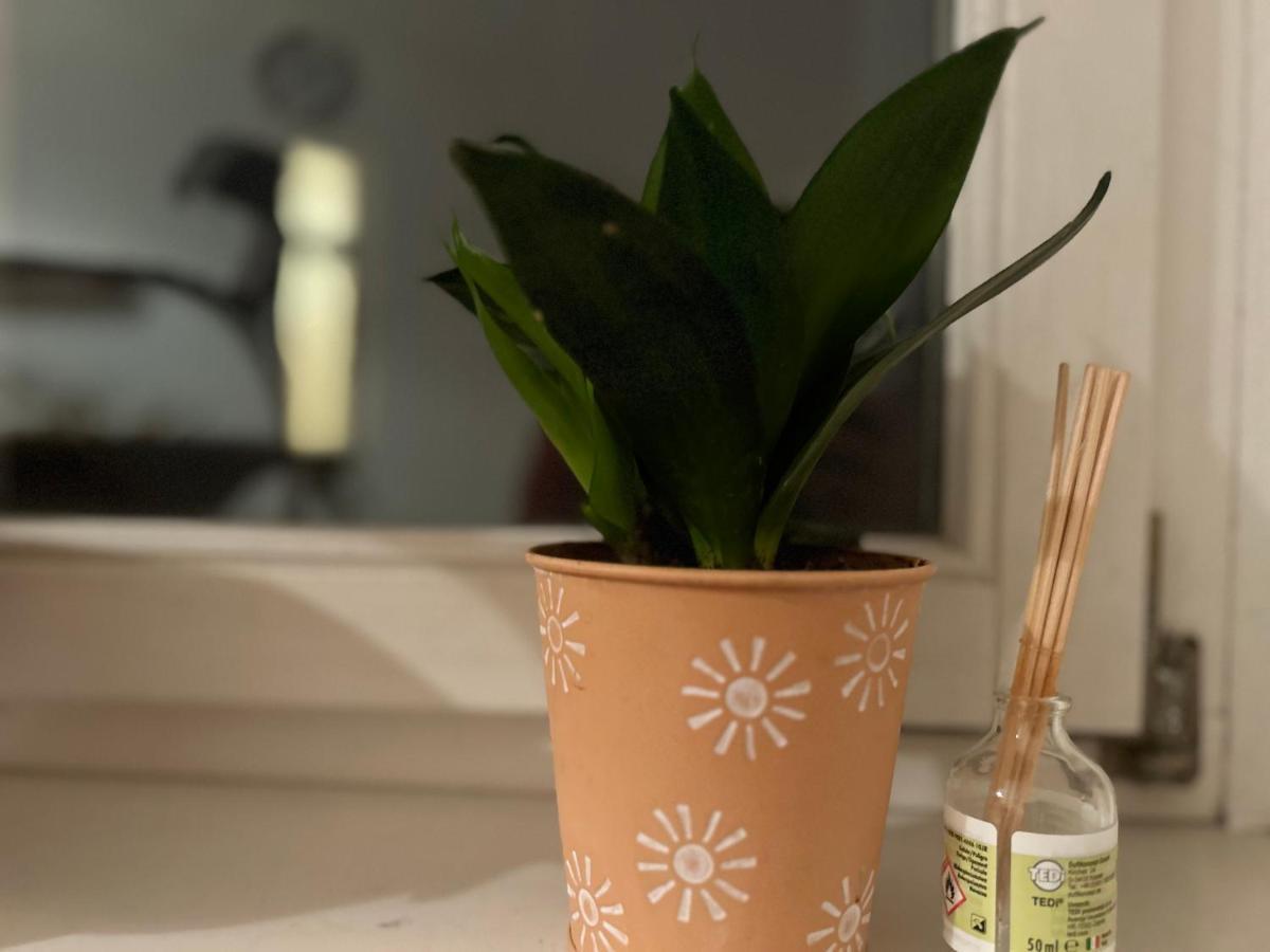 Piano Apartment Halle Center - Netflix - Free Wifi 2 מראה חיצוני תמונה